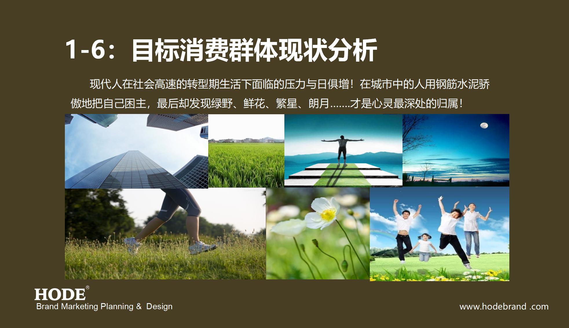 大澳漆品牌策划设计提案_15.jpg