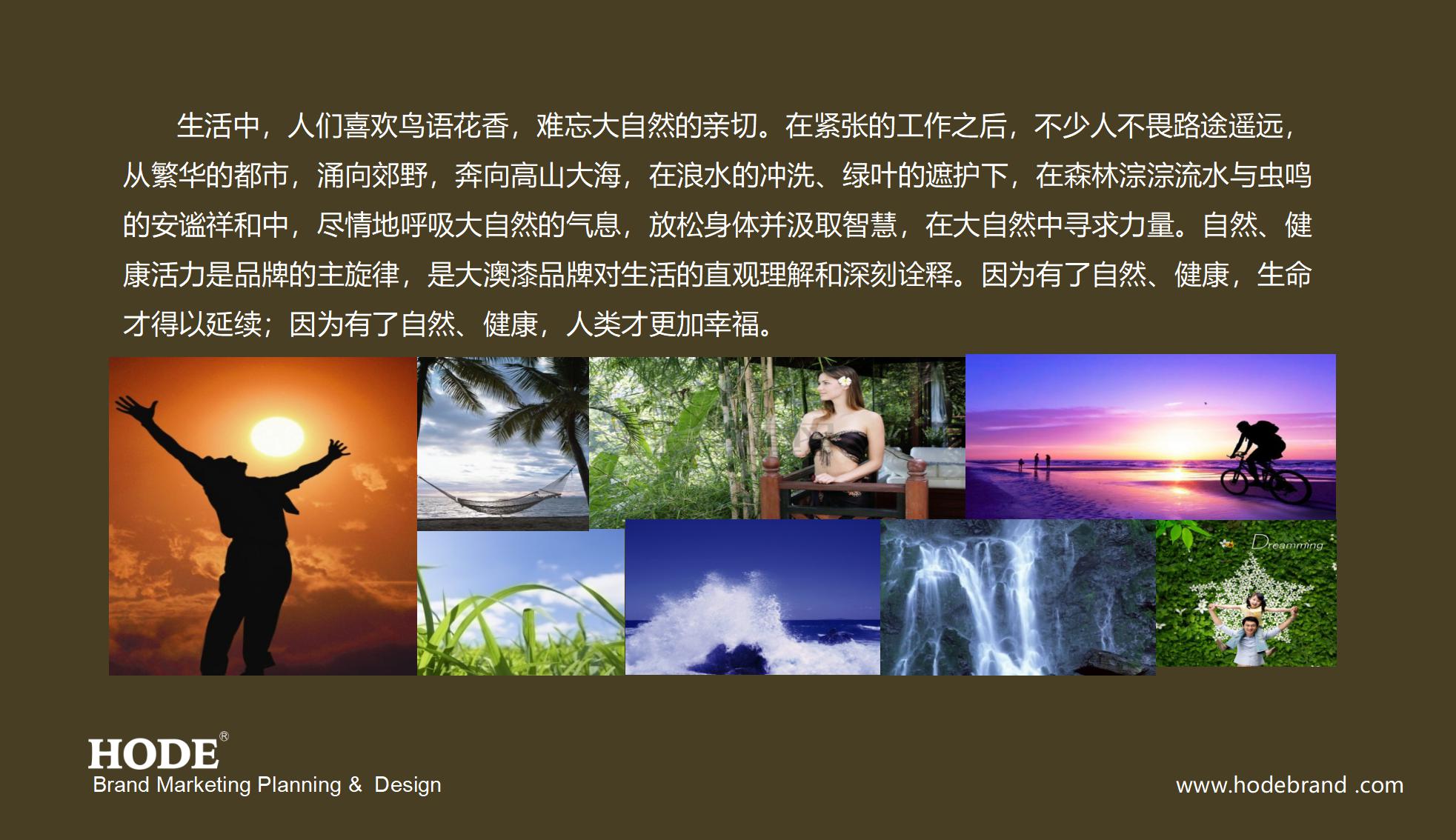 大澳漆品牌策划设计提案_17.jpg