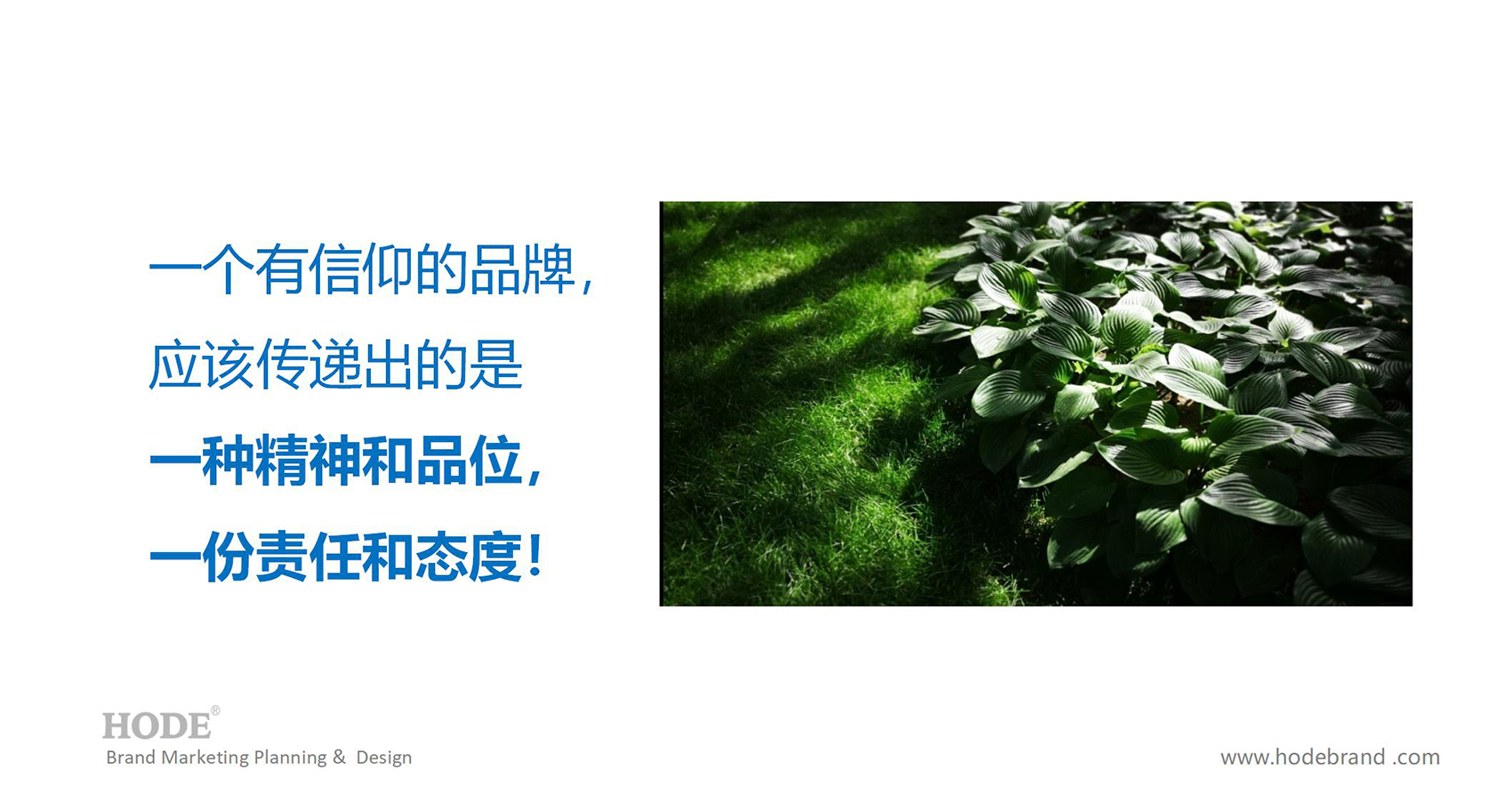 森态启源品牌策划设计全案_08.jpg