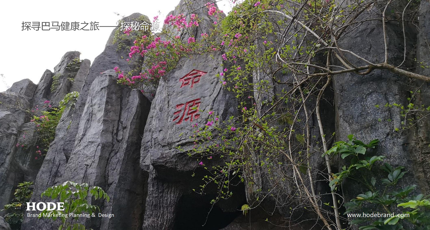 森态启源品牌策划设计全案_22.jpg